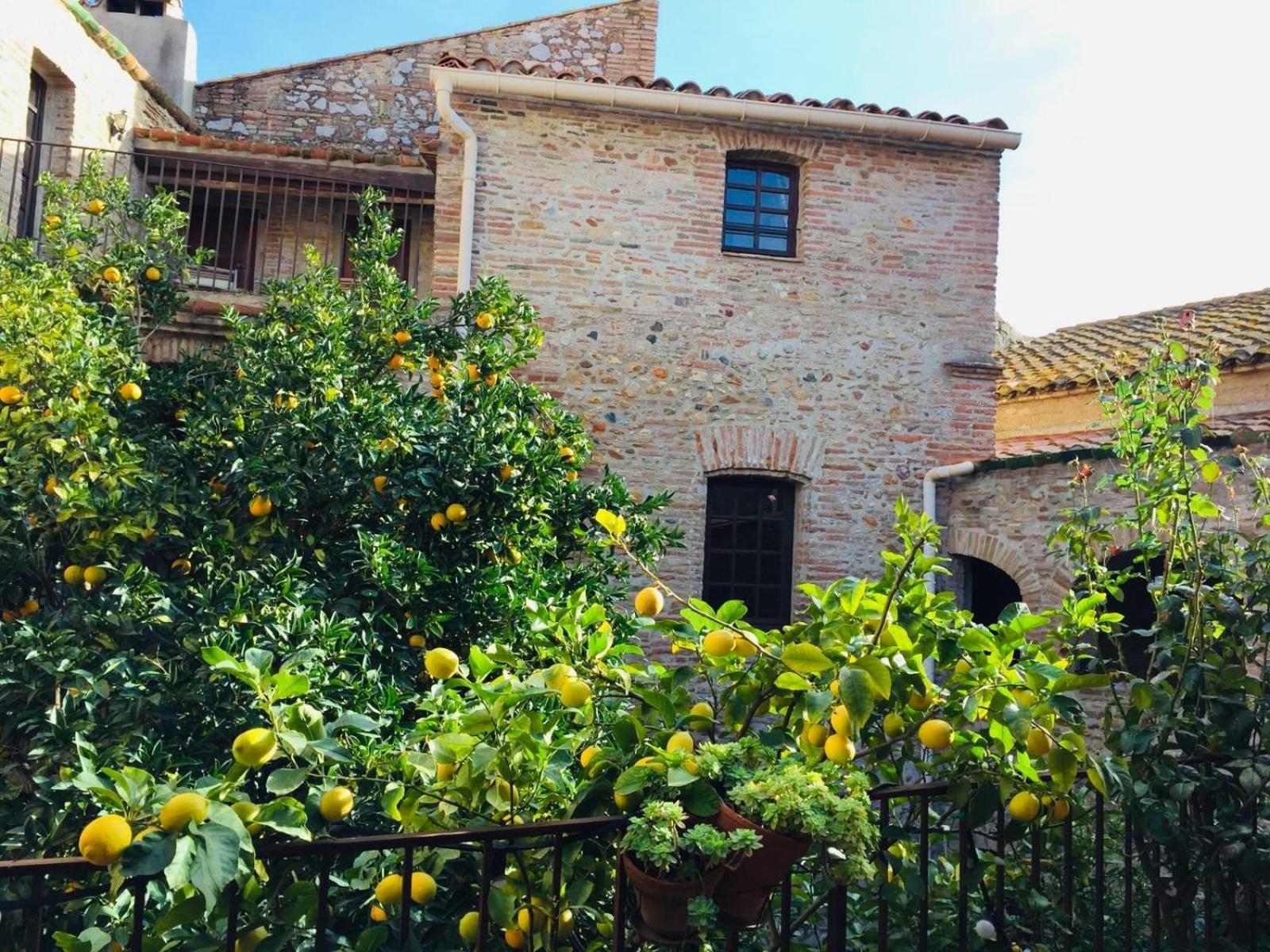 La Vieille Demeure Hotel Torreilles Bagian luar foto